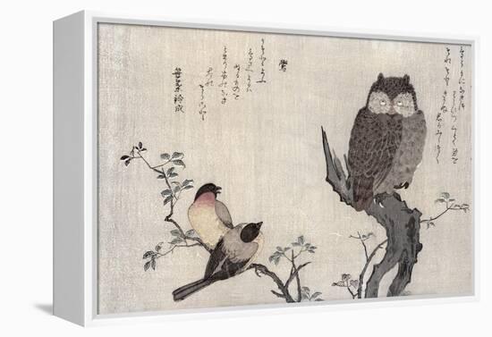 Owl and Two Eastern Bullfinches, Birds Compared in Humorous Songs, c.1791-Kitagawa Utamaro-Framed Premier Image Canvas