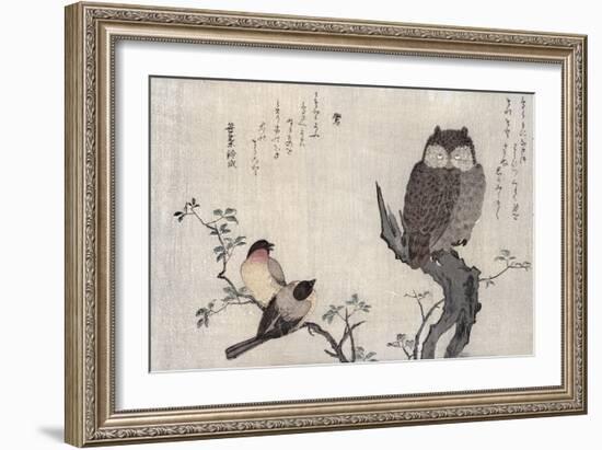 Owl and Two Eastern Bullfinches, Birds Compared in Humorous Songs, c.1791-Kitagawa Utamaro-Framed Giclee Print