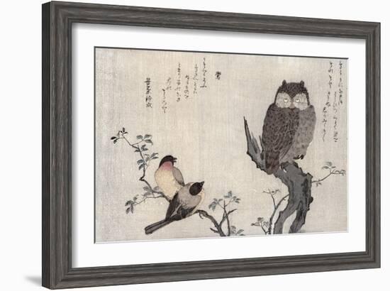 Owl and Two Eastern Bullfinches, Birds Compared in Humorous Songs, c.1791-Kitagawa Utamaro-Framed Giclee Print