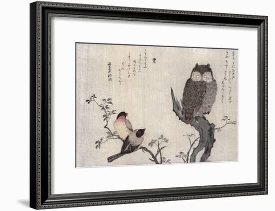 Owl and Two Eastern Bullfinches, Birds Compared in Humorous Songs, c.1791-Kitagawa Utamaro-Framed Giclee Print