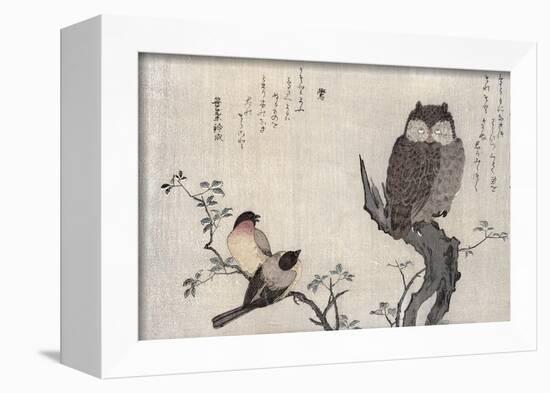 Owl and Two Eastern Bullfinches, Birds Compared in Humorous Songs, c.1791-Kitagawa Utamaro-Framed Giclee Print