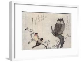 Owl and Two Eastern Bullfinches, Birds Compared in Humorous Songs, c.1791-Kitagawa Utamaro-Framed Giclee Print