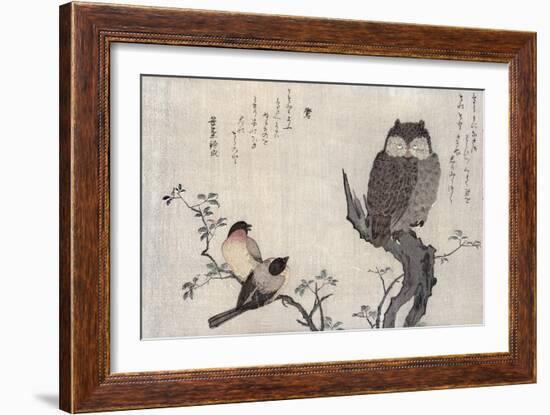 Owl and Two Eastern Bullfinches, Birds Compared in Humorous Songs, c.1791-Kitagawa Utamaro-Framed Giclee Print