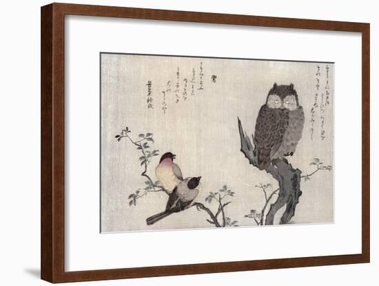 Owl and Two Eastern Bullfinches, Birds Compared in Humorous Songs, c.1791-Kitagawa Utamaro-Framed Giclee Print