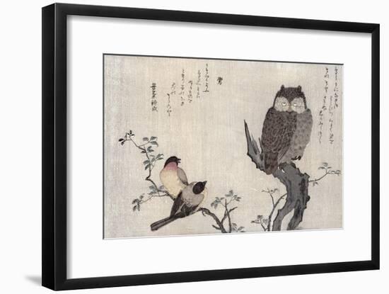 Owl and Two Eastern Bullfinches, Birds Compared in Humorous Songs, c.1791-Kitagawa Utamaro-Framed Giclee Print