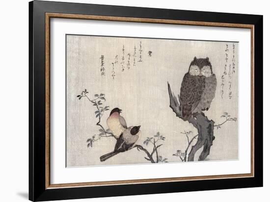 Owl and Two Eastern Bullfinches, Birds Compared in Humorous Songs, c.1791-Kitagawa Utamaro-Framed Giclee Print