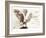 Owl Ascending-Theo Westenberger-Framed Art Print