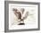 Owl Ascending-Theo Westenberger-Framed Art Print