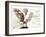 Owl Ascending-Theo Westenberger-Framed Art Print