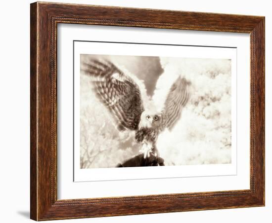 Owl Ascending-Theo Westenberger-Framed Art Print