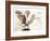 Owl Ascending-Theo Westenberger-Framed Art Print