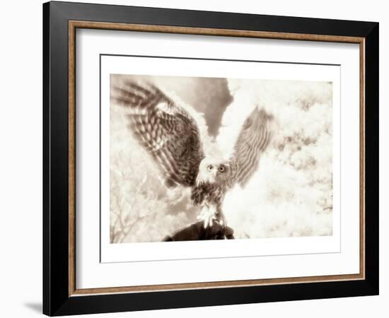 Owl Ascending-Theo Westenberger-Framed Art Print