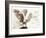 Owl Ascending-Theo Westenberger-Framed Art Print