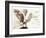 Owl Ascending-Theo Westenberger-Framed Art Print