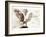 Owl Ascending-Theo Westenberger-Framed Art Print