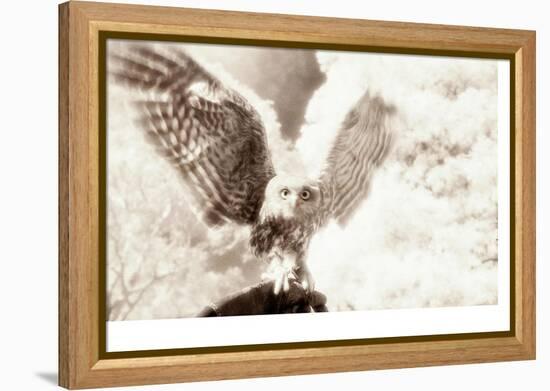 Owl Ascending-Theo Westenberger-Framed Premier Image Canvas