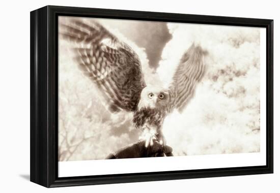 Owl Ascending-Theo Westenberger-Framed Premier Image Canvas