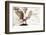 Owl Ascending-Theo Westenberger-Framed Photographic Print