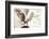 Owl Ascending-Theo Westenberger-Framed Photographic Print