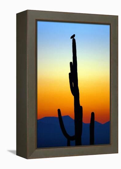 Owl at Sunset-Douglas Taylor-Framed Premier Image Canvas