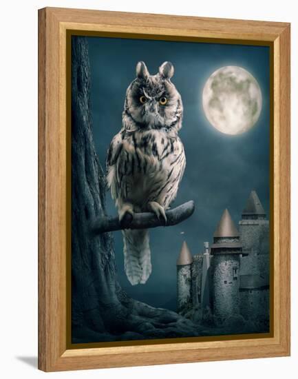 Owl Bird Sitting on Branch at Night-egal-Framed Premier Image Canvas