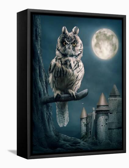 Owl Bird Sitting on Branch at Night-egal-Framed Premier Image Canvas