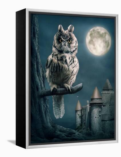 Owl Bird Sitting on Branch at Night-egal-Framed Premier Image Canvas