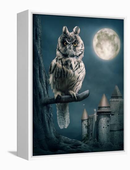 Owl Bird Sitting on Branch at Night-egal-Framed Premier Image Canvas