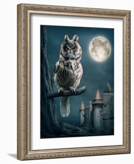 Owl Bird Sitting on Branch at Night-egal-Framed Photographic Print