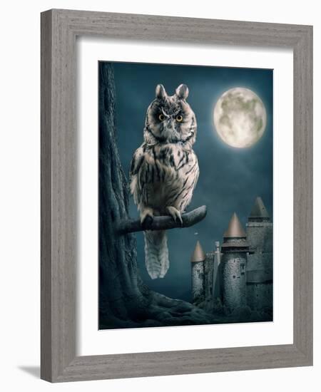 Owl Bird Sitting on Branch at Night-egal-Framed Photographic Print