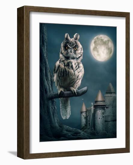 Owl Bird Sitting on Branch at Night-egal-Framed Photographic Print