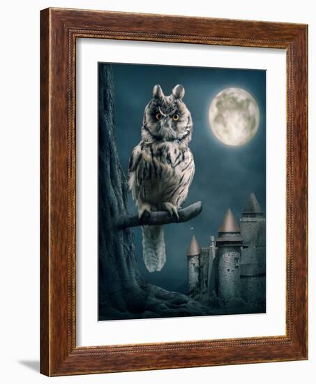 Owl Bird Sitting on Branch at Night-egal-Framed Photographic Print