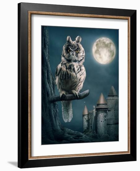Owl Bird Sitting on Branch at Night-egal-Framed Photographic Print