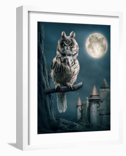 Owl Bird Sitting on Branch at Night-egal-Framed Photographic Print