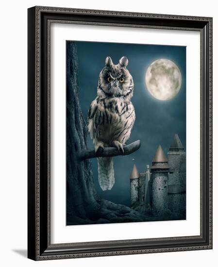 Owl Bird Sitting on Branch at Night-egal-Framed Photographic Print