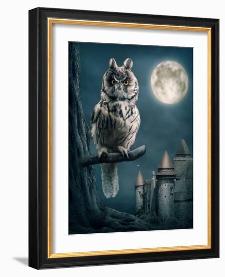 Owl Bird Sitting on Branch at Night-egal-Framed Photographic Print