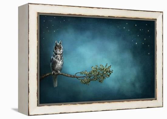 Owl Bird-egal-Framed Stretched Canvas