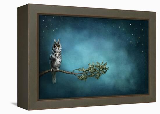 Owl Bird-egal-Framed Stretched Canvas