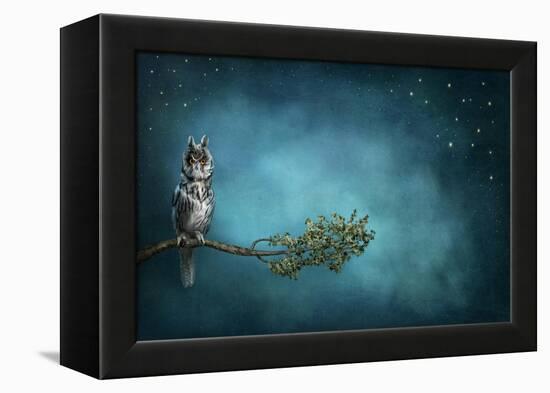 Owl Bird-egal-Framed Stretched Canvas