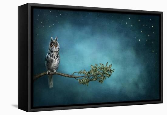 Owl Bird-egal-Framed Stretched Canvas