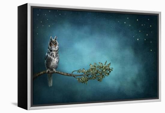 Owl Bird-egal-Framed Stretched Canvas