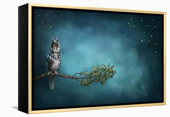 Owl Bird-egal-Framed Stretched Canvas