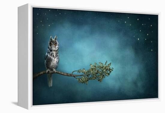 Owl Bird-egal-Framed Stretched Canvas