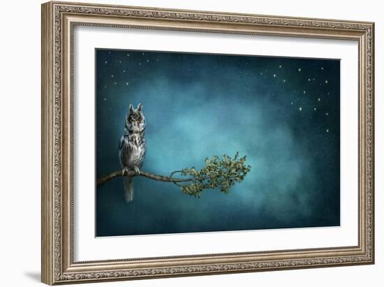 Owl Bird-egal-Framed Art Print