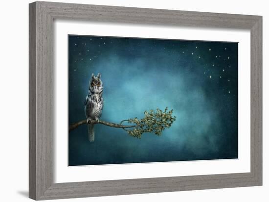 Owl Bird-egal-Framed Art Print