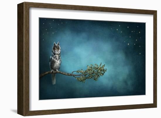 Owl Bird-egal-Framed Art Print