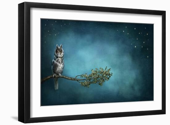 Owl Bird-egal-Framed Art Print