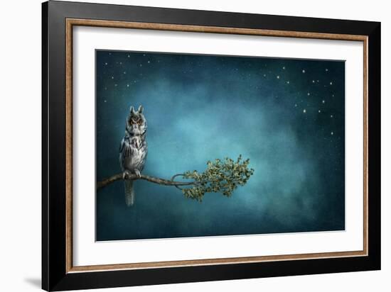 Owl Bird-egal-Framed Art Print
