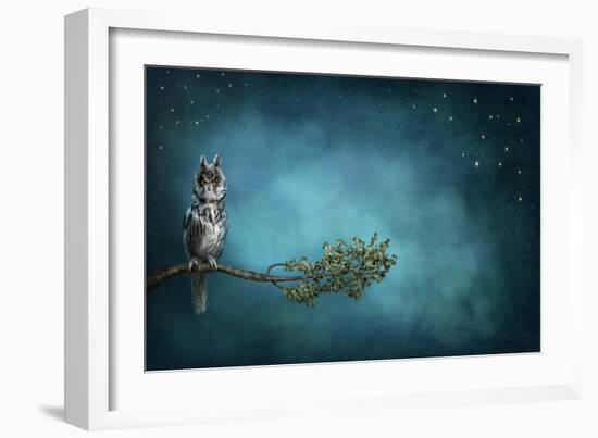 Owl Bird-egal-Framed Art Print