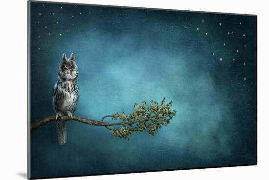 Owl Bird-egal-Mounted Art Print